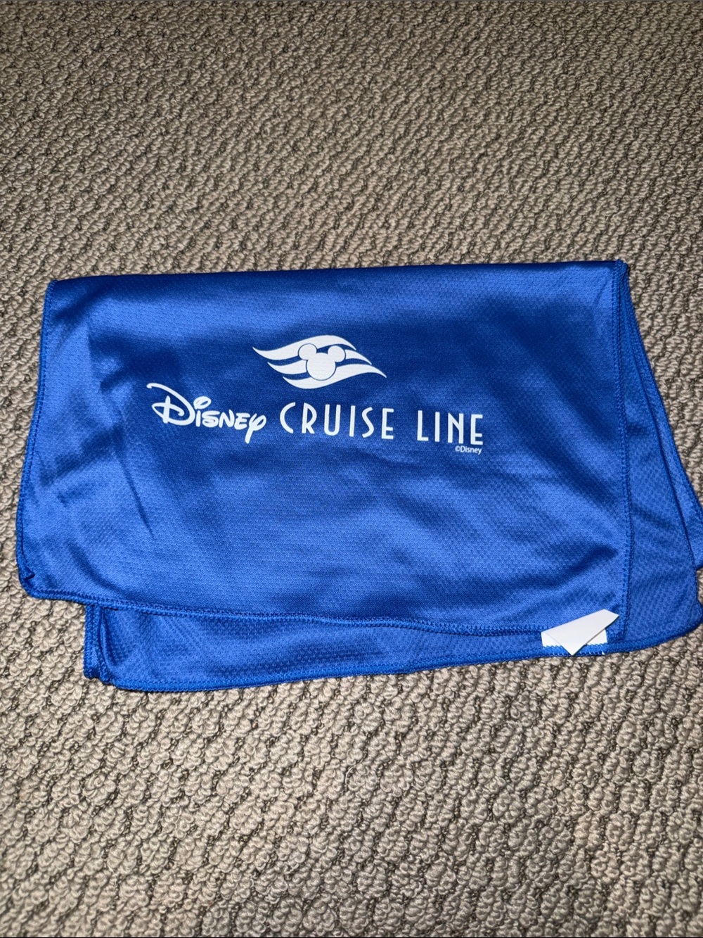Disney Cruise Line Blue Cooling Towel